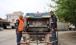 Temizlik ekibi kaplumbağaların hayatını kurtardı