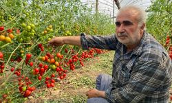 Üreticiden fiyat farkına tepki: "Aradaki farkı kim yiyor"