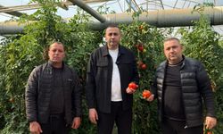 Üretim merkezi Antalya’da üreticiden korkutan çağrı; “Seneye ekmeyeceğiz”