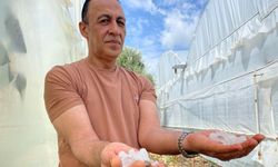 Antalya’da ilginç olay! Yıldırım yaktı dolu söndürdü