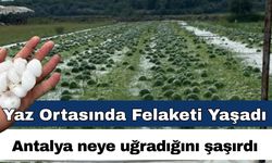 Antalya’da yaz ortasında dolu afeti