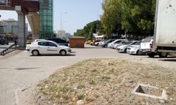 Haberimiz ihbar sayıldı! Antalya Büyükşehir Belediyesi müdahale etti