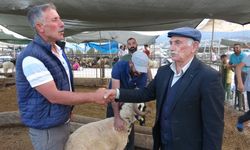 Kurban pazarında kıran kırana pazarlık sürüyor