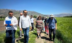Akdeniz Üniversitesi, proje kapsamında mahkumları rehabilite ve meslek imkanı sunuyor