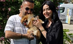 Kaybolan köpek bulundu, sahipleri sevince boğuldu