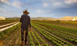 Politikasızlık akıl almaz boyuta geldi! Kart borçları yüzde 50 arttı