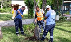 Antalya Kadınlar Plajı ne zaman açılıyor? Kadınlar Plajı nerede?