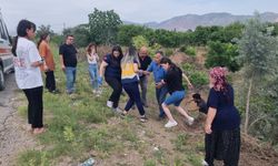 Takla atan otomobilde burnu bile kanamadı