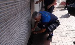 Alanya’da zabıta ekiplerinden denetim