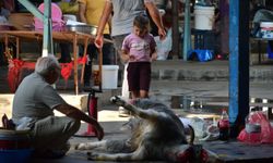 Antalya'da kurban kesim alanlarında çocukların olması dikkat çekti