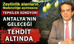 Zeytinlik alanların madenciliğe açılmasına tepkiler sürüyor! Antalya’nın geleceği tehdit altında