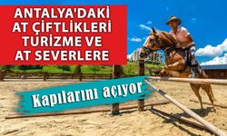 Antalya'daki at çiftlikleri turizme ve at severlere kapılarını açıyor