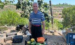 Alanya’yı zengin eden hasat başladı