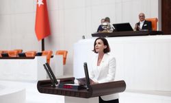 CHP Antalya Milletvekili Aliye Coşar’dan ‘kişiye özel zeytinlik talan yasası’ çıkışı