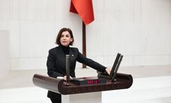CHP Antalya Milletvekili Aliye Coşar’dan TBMM’de “ilkokul alanı” açıklaması