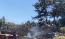 Antalya rahat nefes aldı alevler söndü