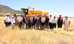 Acıpayam’da arpa hasadı başladı