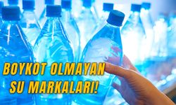 Boykot Olmayan Su Markaları: Yerli Malı Sular!