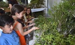 Antalya’nın çocukları Sapadere İpek Evi’nde buluşuyor