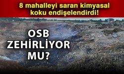 8 mahalleyi saran kimyasal koku endişelendirdi! OSB zehirliyor mu?