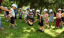 Minik eller Denizli Horozu üretimini öğrendi