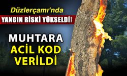 Düzlerçamı'nda yangın riski yükseldi! Muhtara acil kod verildi