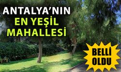 Antalya’nın en yeşil mahallesi belli oldu