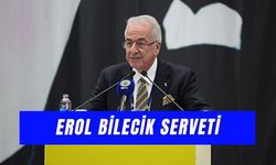 Erol Bilecik Serveti: Fenerbahçe Başkan Vekili Mailinde Aziz Yıldırım'a Ne Dedi?
