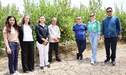 Büyükşehir Belediyesi, evsel atıklardan organik gübre üreterek geri dönüş sağladı