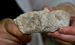 Mut’ta araştırması yapılıyor, şaşırtıcı bulgular ortaya çıkıyor