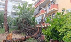 Bina sahipleri hayatlarının şokunu yaşadı