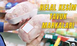 Helal Kesim Tavuk Markaları: GİMDES Sertifikalı Tavuklar!