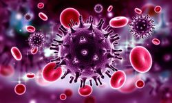 Antalya’da AIDS virüsü tehlikesi! Merdivenaltı işletmeler acilen kapatılmalı