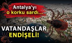 Antalya'yı o korku sardı... Vatandaşlar endişeli!