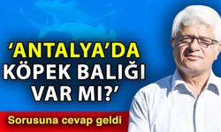 Antalya’da sahillerinde köpek balığı var mı? Tatilcilerden profesöre 'köpek balığı' sorusu