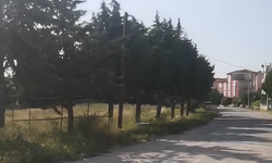 İki başkan da söz verdi, ortada ne bir park var ne de bir yol