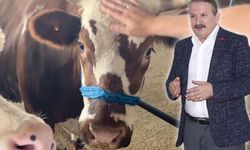 Sağlık İl Müdürü tek tek sıraladı… Kurban Bayramı’nda hasta olmamak için bunları yapın