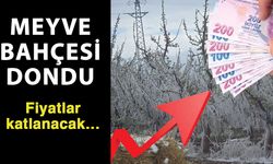 Meyve bahçesi dondu, fiyatlar katlanacak…