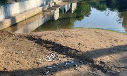 Manavgat inceleme altına alındı! Su kanallarında büyük endişe