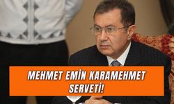 Mehmet Emin Karamehmet Serveti: Turkcell’in Kurucusu Battı Mı?