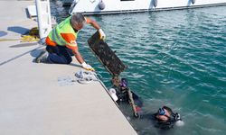 Mersin'de denizden çıkanlar şaşkınlık yarattı