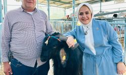 Milletvekili Sema Silkin Ün’den kurban pazarı ziyareti