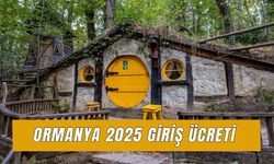 Ormanya Giriş Ücreti 2025: Tabiat Parkı Saat Kaça Kadar Açık?