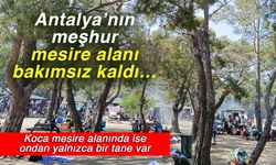 Antalya’nın meşhur mesire alanı bakımsız kaldı… Koca mesire alanında ise ondan yalnızca bir tane var