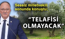 Sessiz milletvekili sonunda konuştu; “Telafisi olmayacak”