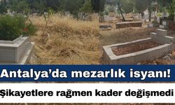 Antalya’da mezarlık isyanı! Şikayetlere rağmen kader değişmedi