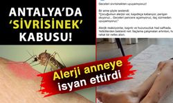 Antalya’da ‘Sivrisinek’ kabusu! Alerji anneye isyan ettirdi