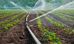 Cavit Arı’dan Sulama Birliği çağrısı… Antalyalı çiftçi olmayan suyun parasını zamlı ödedi