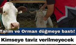 Tarım ve Orman İl Müdürlüğü düğmeye bastı! Kimseye taviz yok