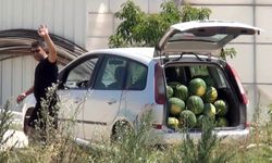 Tarladaki karpuzları vatandaşa ücretsiz dağıttı